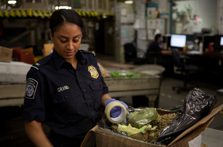 Kaçakçıların Peşinde: Karayip Devriyesi