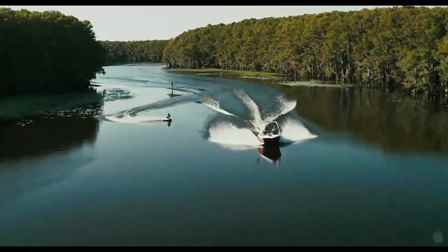 Katil Köpekbalığı