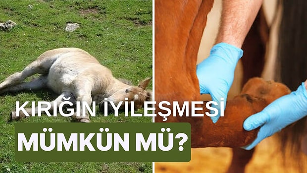Kırık Atlar