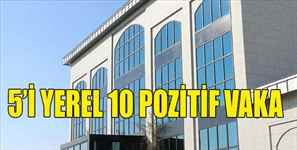 Köpekbalığı Ölüm Bölgesi