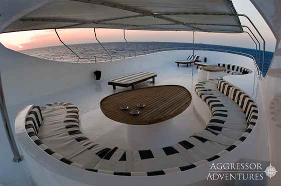 Köpekbalığı Sürüleri