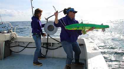 Korkusuz Balıkçılar: Kuzey Güney'e Karşı Özel