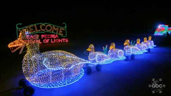 Korkutan Fight Night