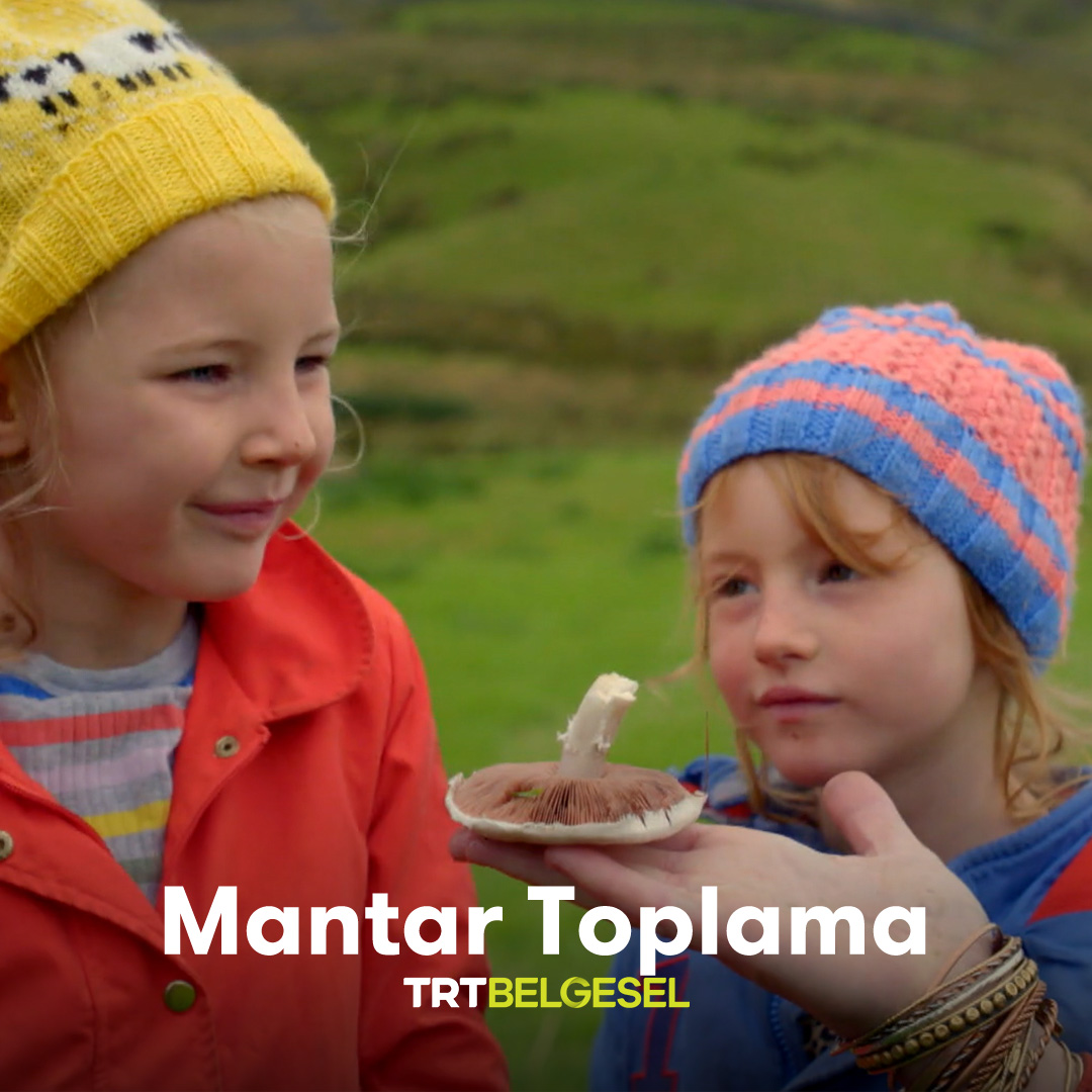 Küçük, Şirin Avcılar