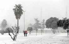 Merak: Mega Fırtına