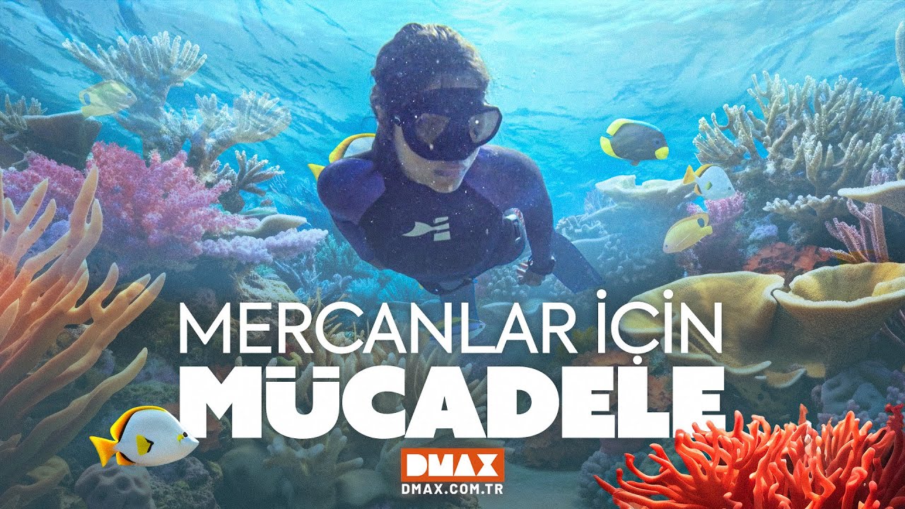 Mercanlar İçin Mücadele