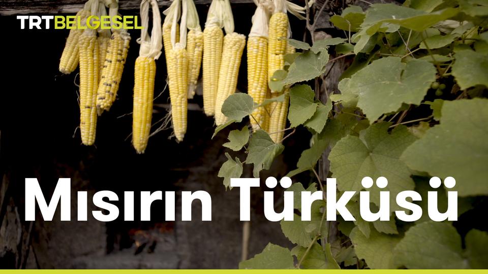 Mısırın Türküsü