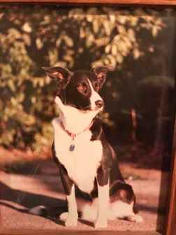 New Hope in Hard Times:...