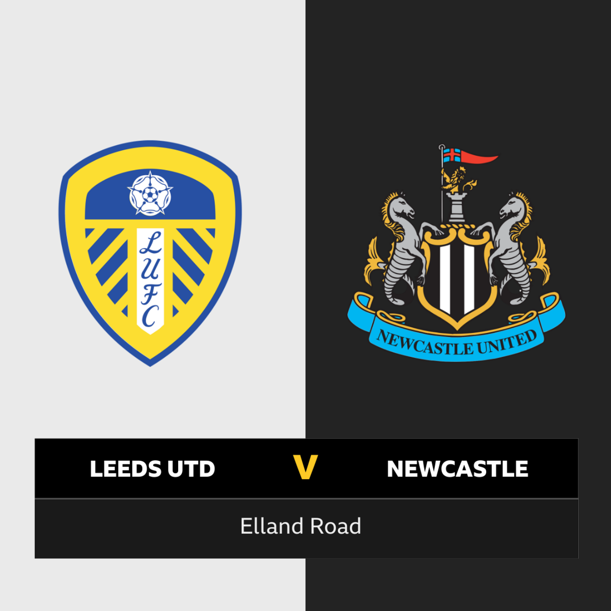 Newcastle United-Leeds United