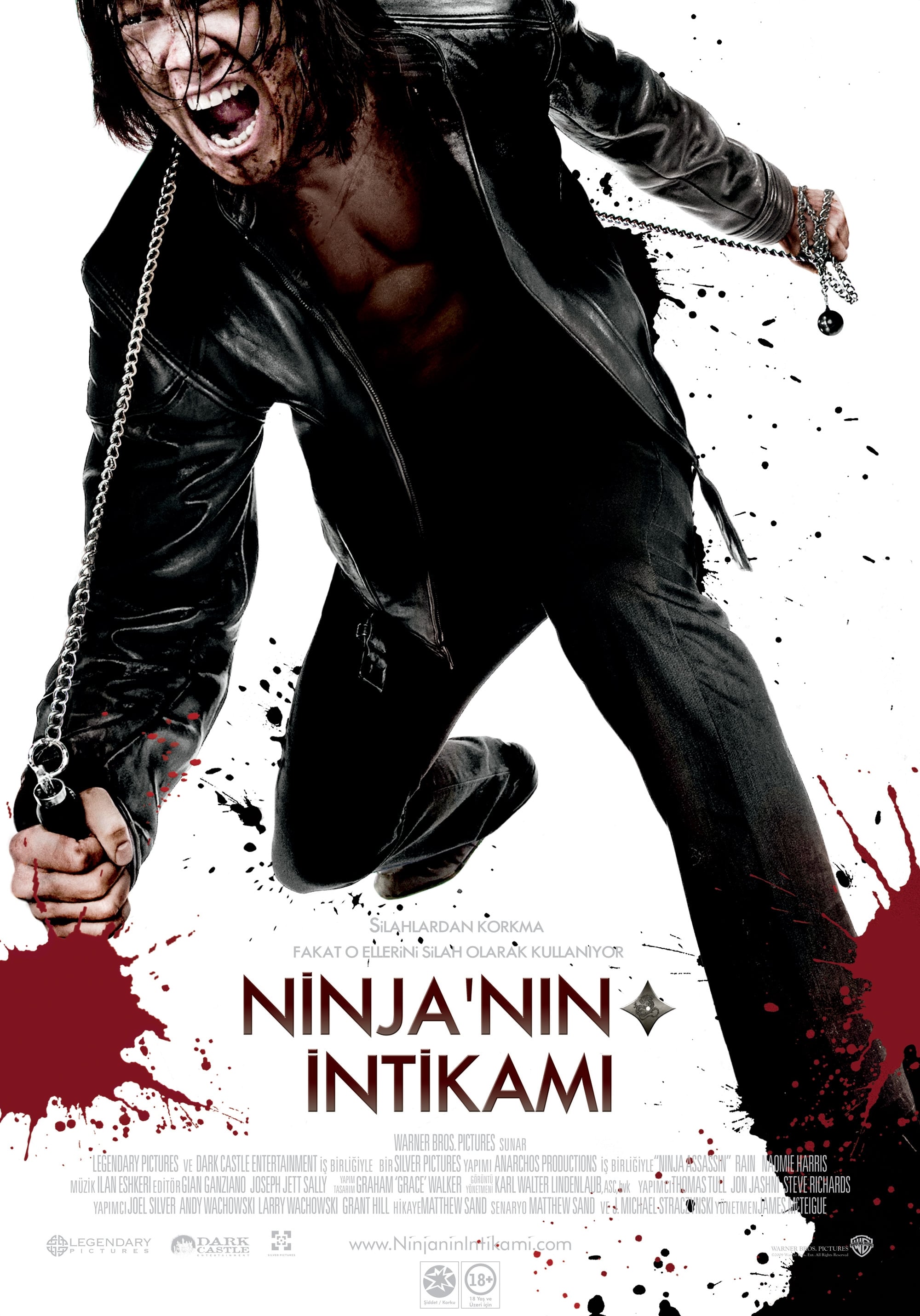 Ninja'nın İntikamı