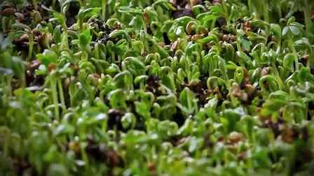 Ntv Belgesel Kuşağı Elon Musk'ın Hikayesi (5. Bölüm) Tekrar 