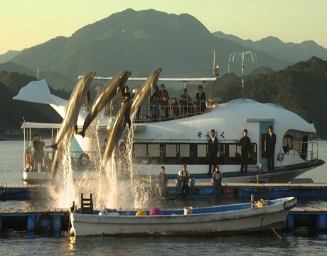 Ntv Belgesel Kuşağı Gökyüzünden Japonya
