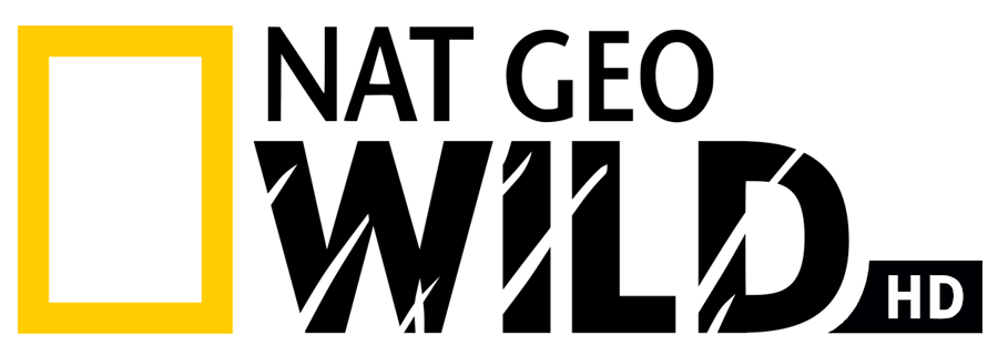 Okyanusun Ruhu