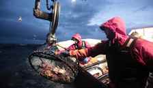 Ölümcül Av: Zindan Koyu