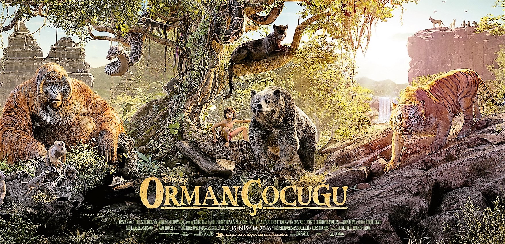 Orman Çocuğu