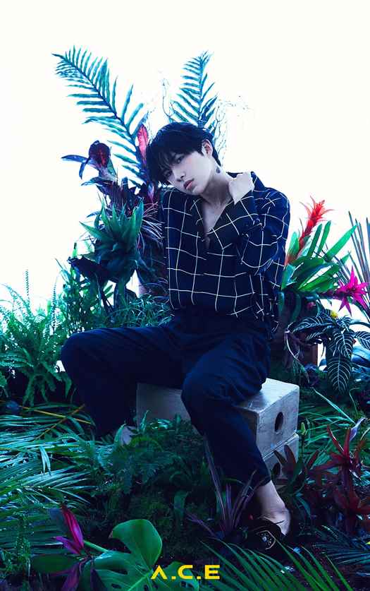 Özel Kuvvetin Dönüşü 3