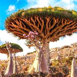 Petra'nın Gizemleri