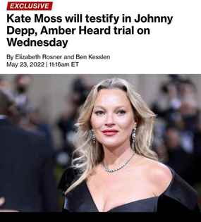 Reputation: Depp v Heard