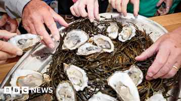 Review 2022: The Year in Sport