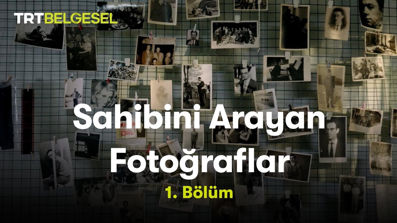 Sahibini Arayan Fotoğraflar