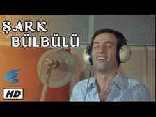Şark Bülbülü