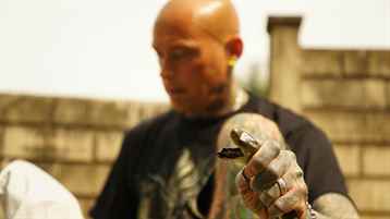 Şehirdeki Yılanlar (Özel Bölümler)