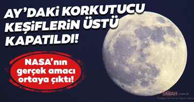 Sıra Dışı Canlılar: Tüyler Ürperten Sürüngenler