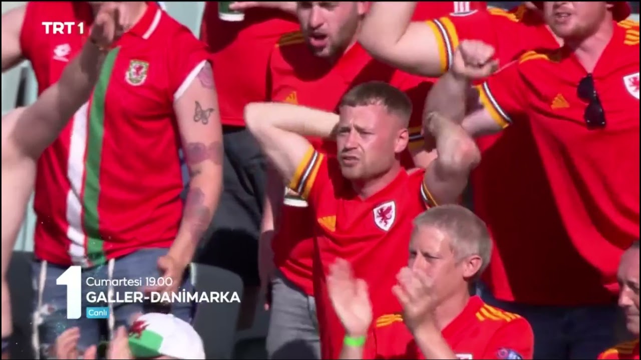 Slovenya - Danimarka