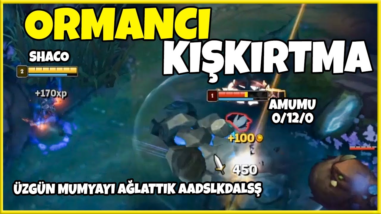 Son Ormancı