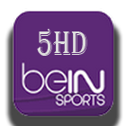 Southampton - C. Palace