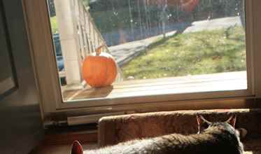 Split at Birth: Twins Divided