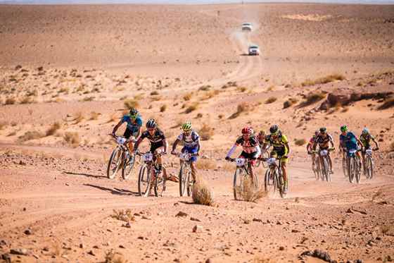 Titan Bisiklet Desert