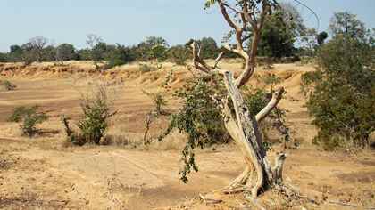 Ukrainecast and the Global News Podcast