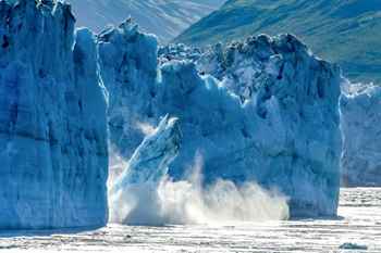 Vahşi Arktik: Buzullar Krallığı