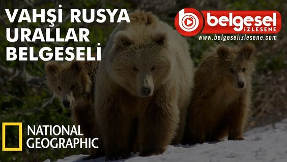 Vahşi Doğaya Çağrı