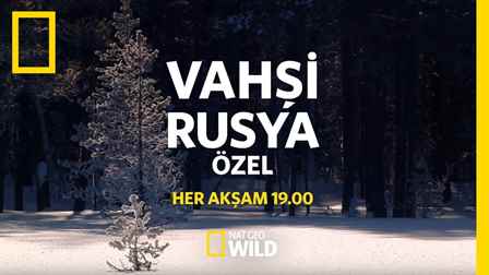 Vahşi Dostlar Özel