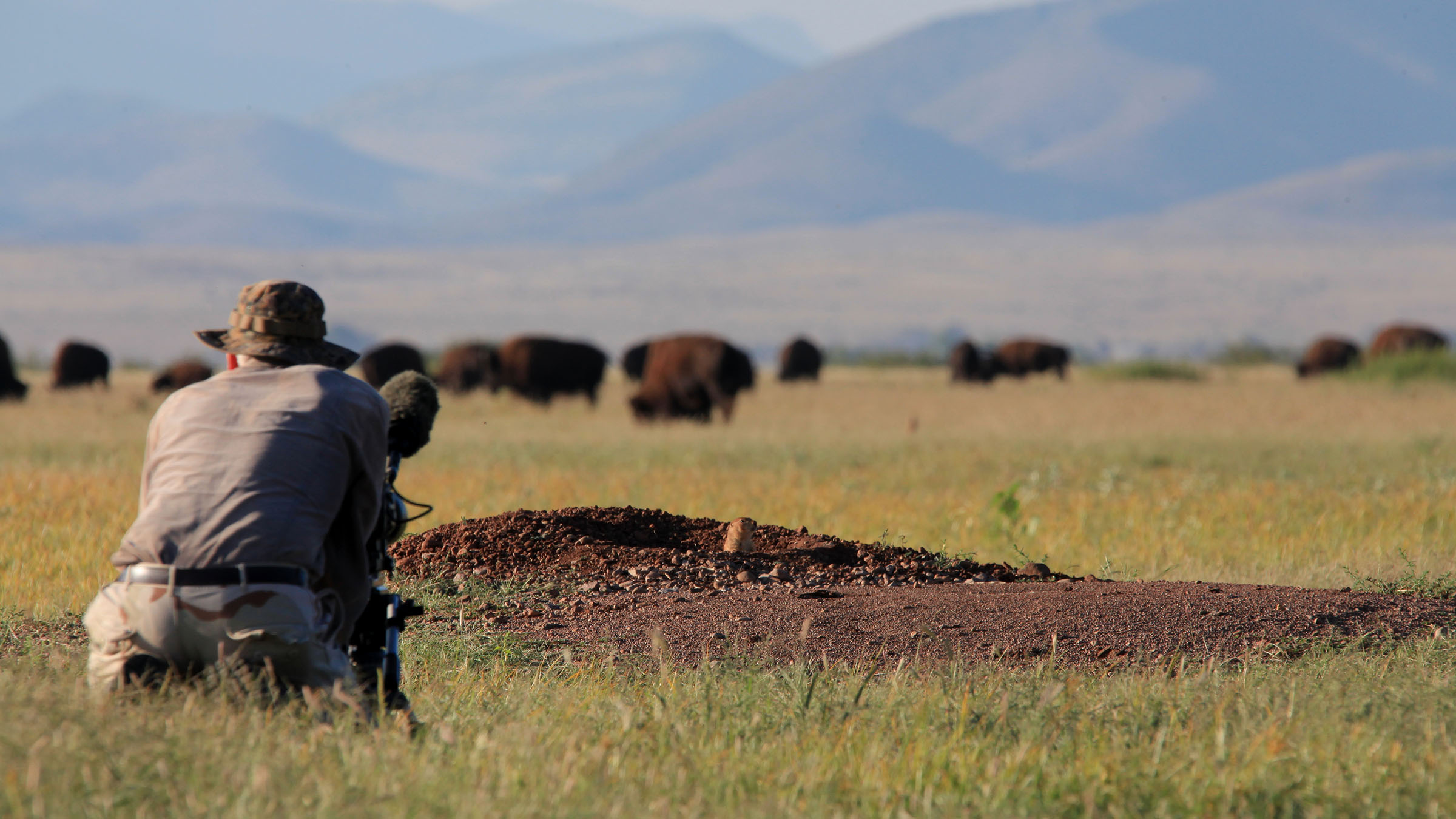 Vahşi Meksika Özel