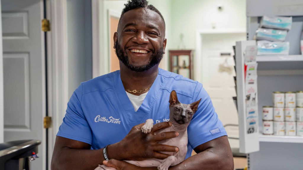 Veteriner Dostlar: Köpek Festivali