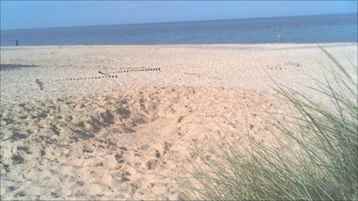 We Are England: Trouble at Sea