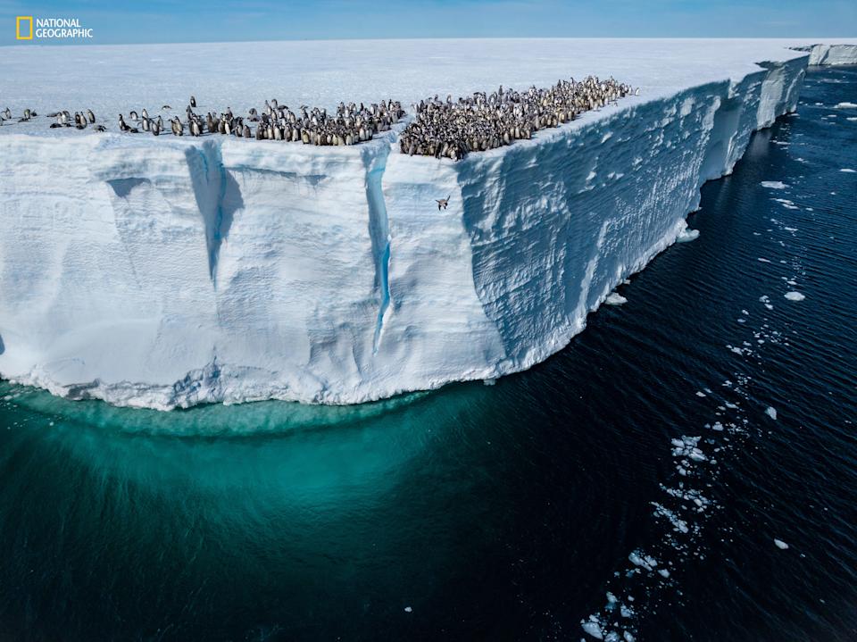 Will Smith İle Kutuplar Arasında