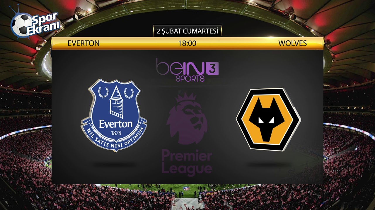Wolverhampton W. - Everton