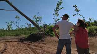 Yaban Evler: Çiftlik