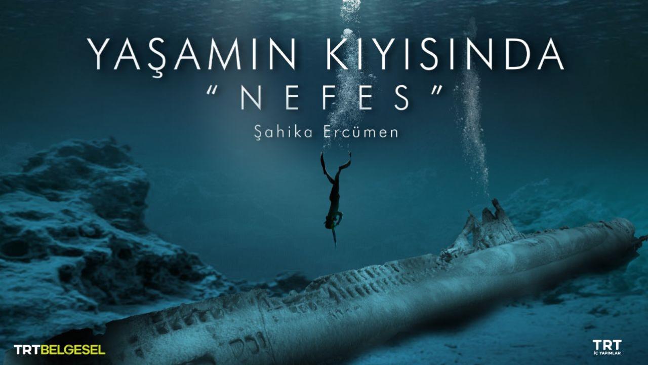 Yaşamın Kıyısında Barış