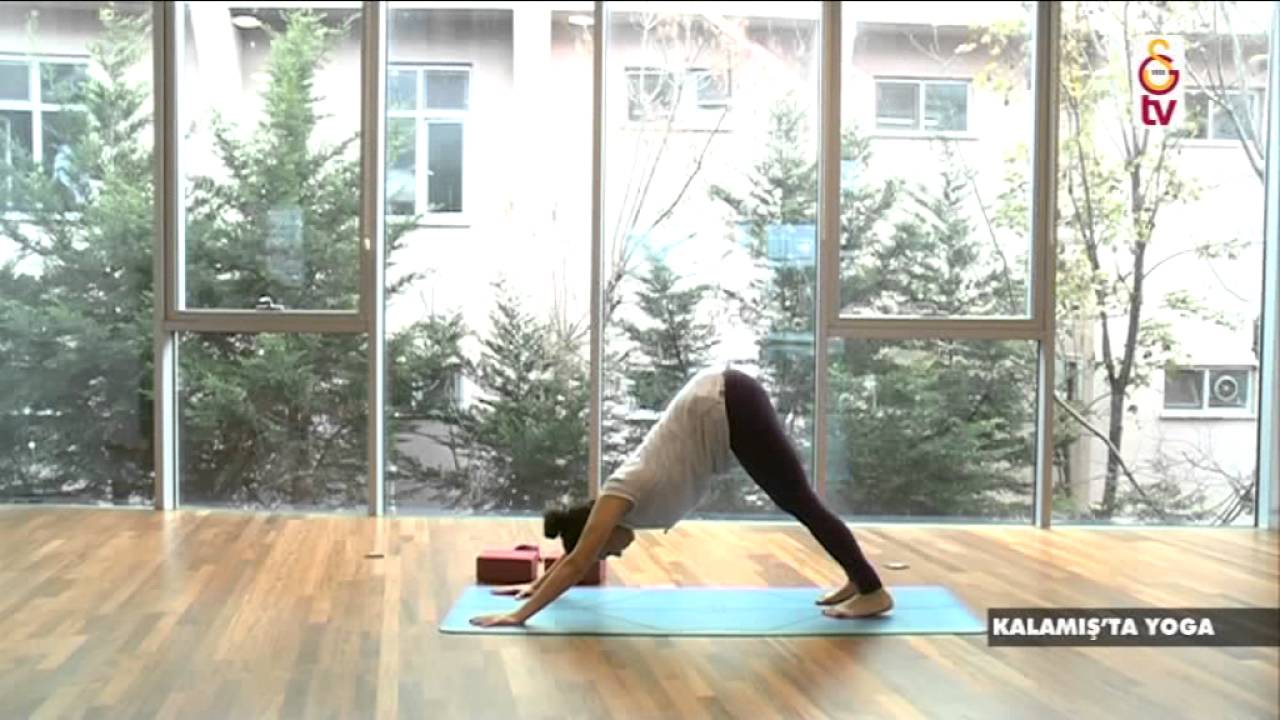 YOGA 43.BÖLÜM