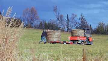 Yukon'da Yaşam: Son Şans