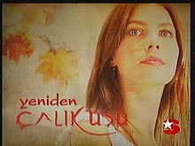 Yeniden Çalıkuşu