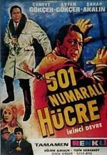 501 Numaralı Hücre