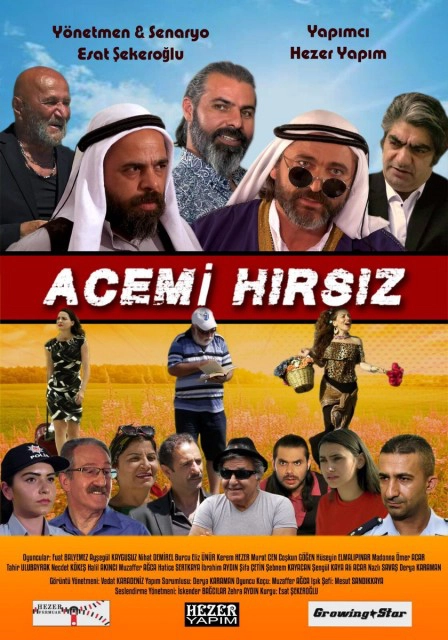 Acemi Hırsız
