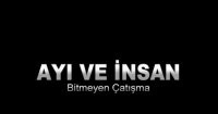 Ayı Ve Insan: Bitmeyen çatışma