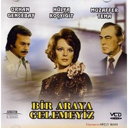 Bir Araya Gelemeyiz